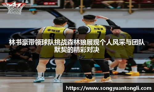 林书豪带领球队挑战森林狼展现个人风采与团队默契的精彩对决